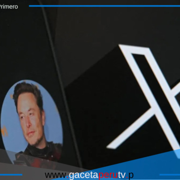 X, la red social de Musk, enfrenta un colapso de valor: de $44 mil millones a menos de $10 mil millones