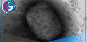 Alerta en Alemania por primer caso de nueva variante de mpox