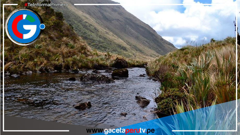Los páramos de Piura presentes en la Cumbre de la Biodiversidad de Colombia