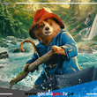 Mira aquí el nuevo trailer de Paddington en Perú 