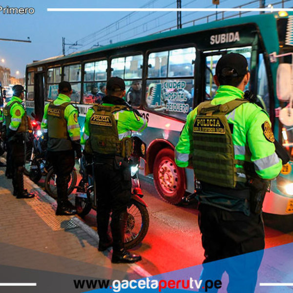 170 bandas delictivas desarticuladas en lo que va del estado de emergencia 
