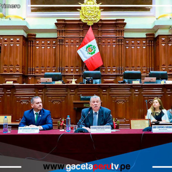 Comisión de Constitución verá modificaciones a ley electoral y de partidos 