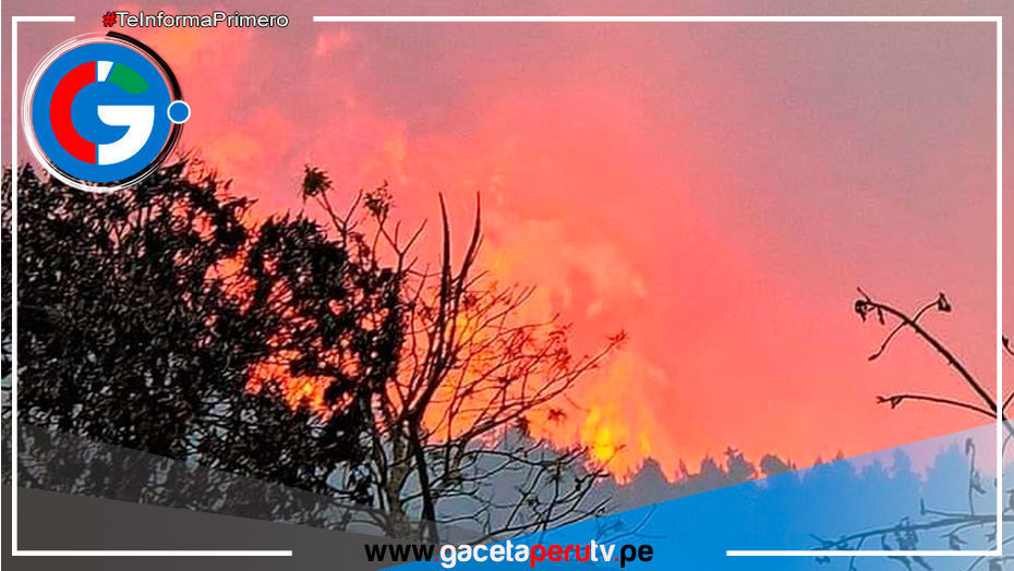 Se han registrado 1,754 incendios forestales en lo que va del año y hay 35 muertos