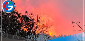 Se han registrado 1,754 incendios forestales en lo que va del año y hay 35 muertos 