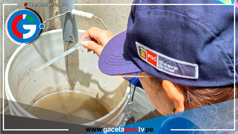 ¿Cómo identificar y eliminar los criaderos de zancudos en el hogar?