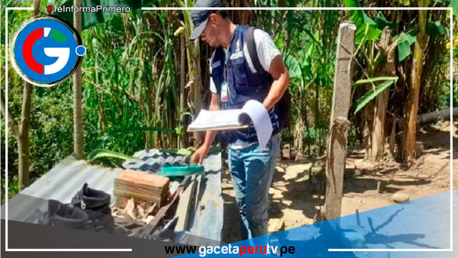 Dengue: se requiere trabajo multisectorial en regiones para combatir enfermedad