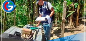 Dengue: se requiere trabajo multisectorial en regiones para combatir enfermedad 