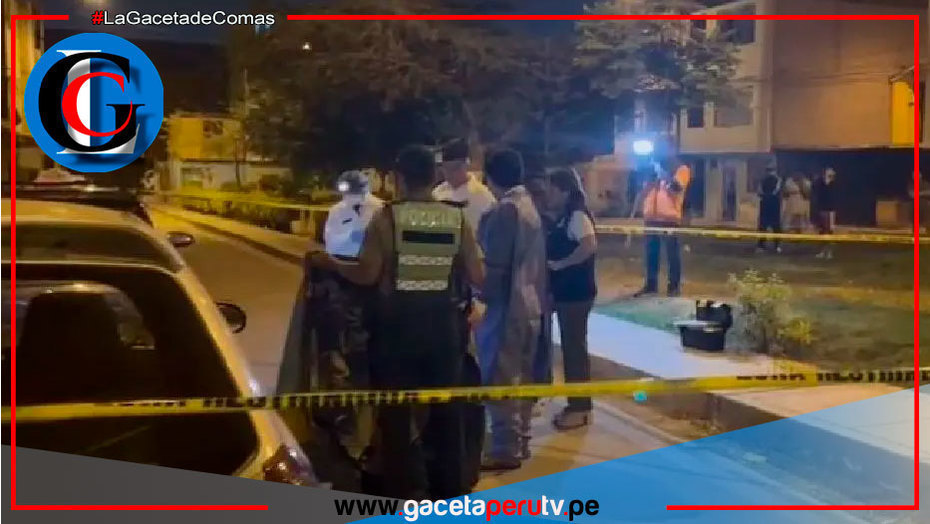 Padre e hijo asesinados frente a su vivienda en Comas