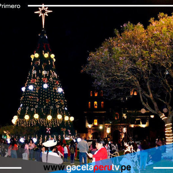 Cajamarca: árbol y nacimiento andino se lucen en la plaza de Armas 