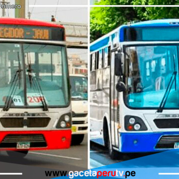 Gremio de transportistas advierte sobre posible cierre de corredores Azul y Rojo