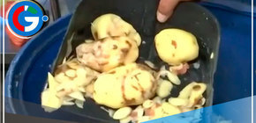 Detienen a Tres Personas en Taller Insalubre de Papas Fritas para Cadena Campollo