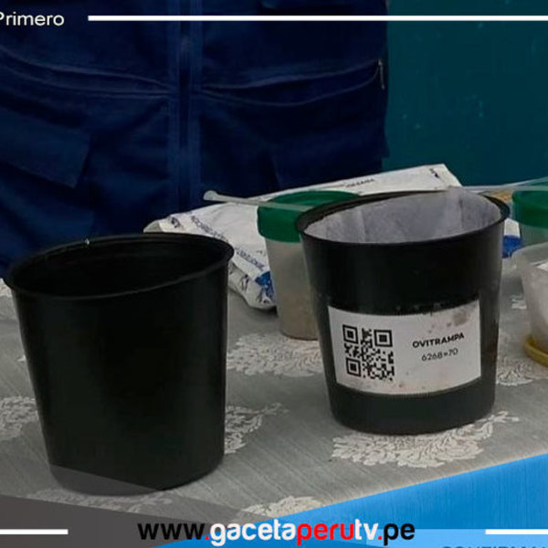 Reportan tres casos de dengue en Ventanilla y un paciente sospechoso