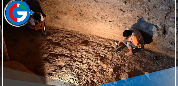 Científicos de Francia confirma que los orígenes del cacao están en la Amazonía Peruana