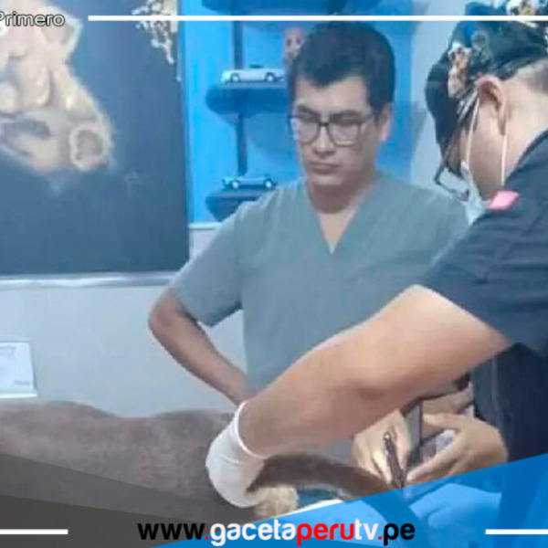 ¡Justicia para Luna! Policía captura a sujeto acusado de violar y asesinar a una perrita