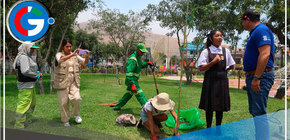 Rompen récord al sembrar 3 mil árboles en Chorrillos 