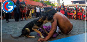 Un acto de fe y un gesto de amor: Un perrito consuela a actor que interpretaba a 'Jesús'