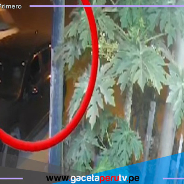 Conductor de combi huye tras atropellar a niño de 5 años en Lurín