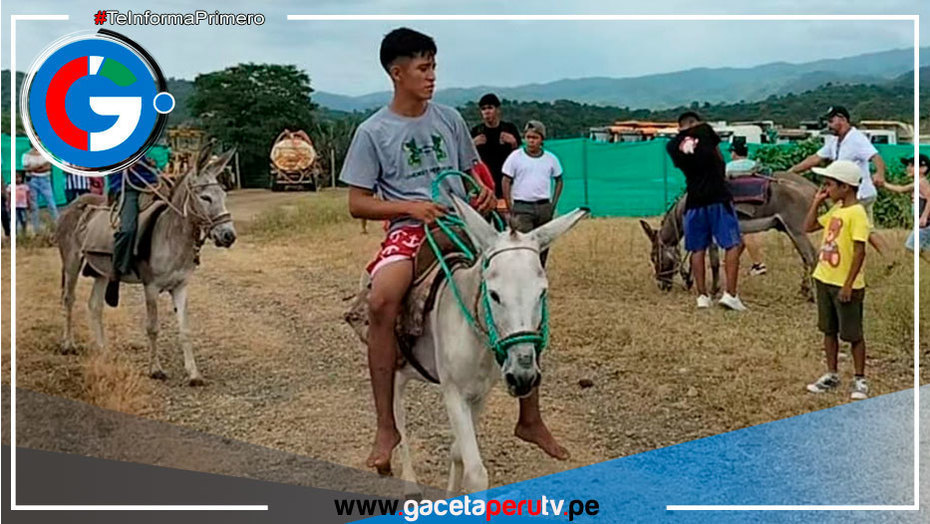 Tumbes: pobladores rescatan tradicional carrera de piajenos