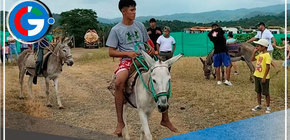 Tumbes: pobladores rescatan tradicional carrera de piajenos