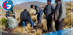 Arequipa: pobladores denuncian ataques de pumas: “Han matado algo de 150 animales”