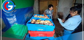 Autoridades municipales de Comas cierran más de 5 establecimientos por falta de documentación