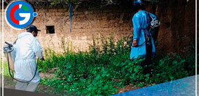 Áncash: brigadas realizan fumigación en diversos caseríos