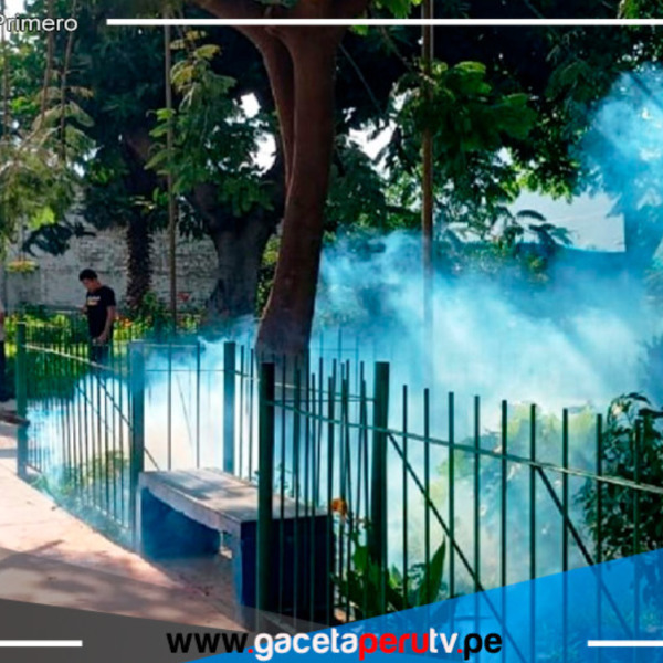 Más de 1,000 Casos de Dengue Registrados en Cajamarca