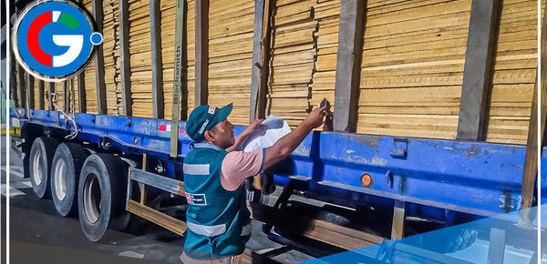 Autoridades intervienen cargamento de madera ilegal en Pucusana