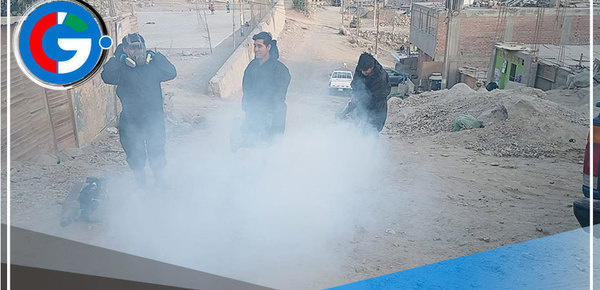 Municipalidad de Comas refuerza fumigación ante aumento de casos de dengue