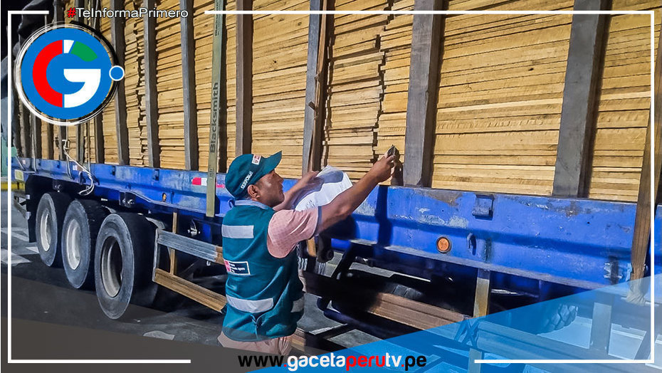 Autoridades intervienen cargamento de madera ilegal en Pucusana