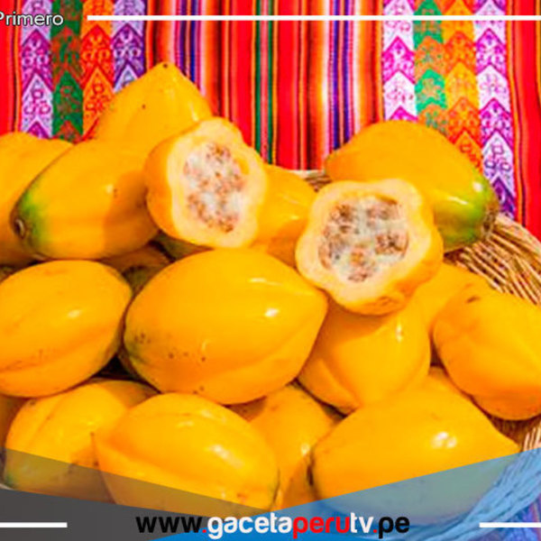 Puno: Productores de Sandia comercializan 55 toneladas de papayita andina 