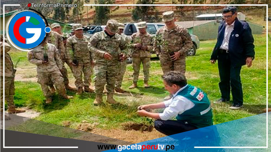 Huancavelica instala 5,000 plantones por campaña Plantando Futuro Juntos