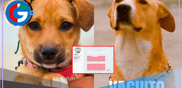 'Vaguito' es un rotundo éxito tras baja acogida en su debut