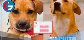 'Vaguito' es un rotundo éxito tras baja acogida en su debut