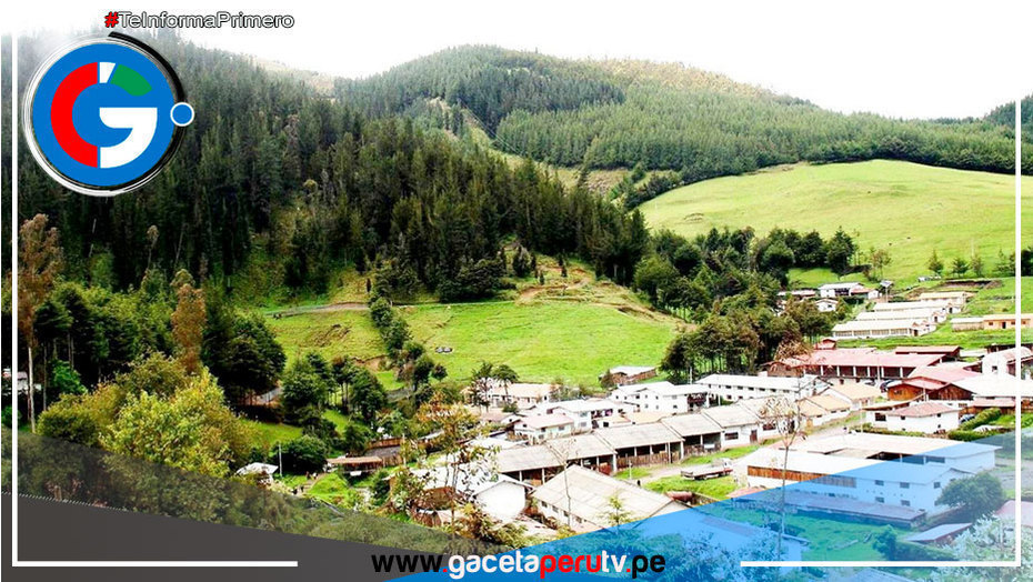 Cajamarca: desmienten avistamiento de un ejemplar de león