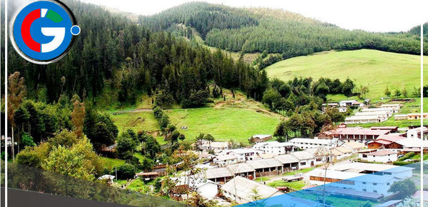 Cajamarca: desmienten avistamiento de un ejemplar de león