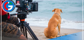 Vaguito llevó más de 100 mil espectadores en sus primeros días de estreno 