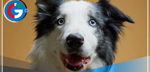 Messi en el Festival de Cannes