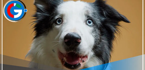 Messi en el Festival de Cannes