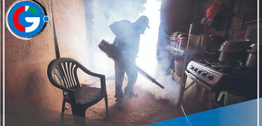 Van 162 muertos por dengue, y epidemia disminuye en 248 distritos