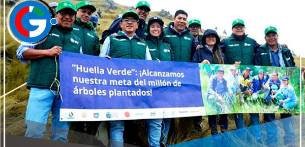 Conoce el proyecto que sembró un millón de árboles nativos en Cajamarca 