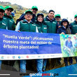 Conoce el proyecto que sembró un millón de árboles nativos en Cajamarca 