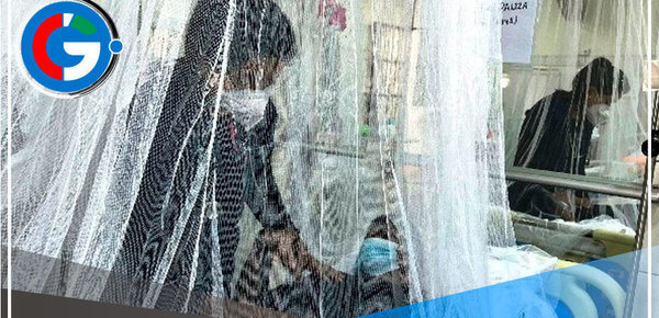 Dengue: Destacan atención oportuna de pacientes en Lima sur