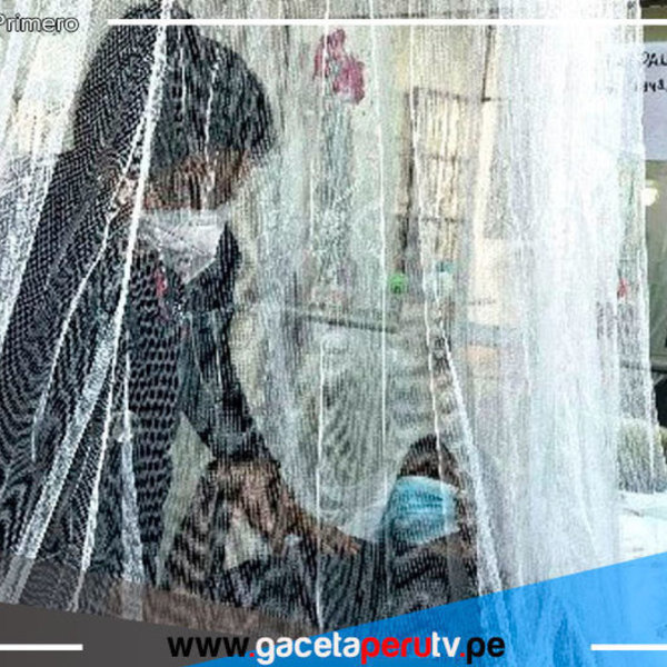 Dengue: Destacan atención oportuna de pacientes en Lima sur