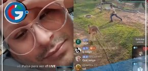 Desafío viral en TikTok conduce  ataques hacia  animales en Parque de las Leyendas