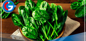 Conoce la verdura que te ayuda a aumentar masa muscular y bajar de peso