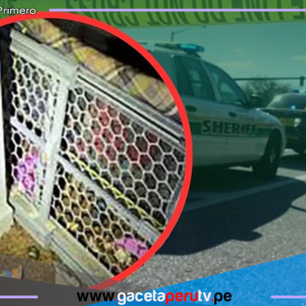 Niño de 2 años es encontrado en una jaula