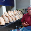 El museo de Historia Natural de San Marcos se llena de fósiles gigantes