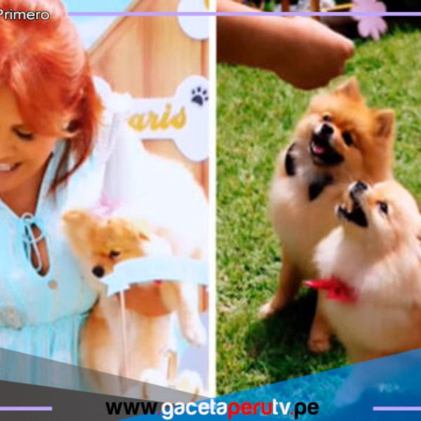 Magaly Medina celebra cumpleaños de sus perros con LUJOSA fiesta 