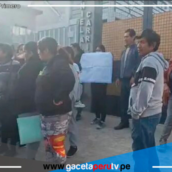 Pulgas invaden otro colegio de San Juan de Lurigancho
